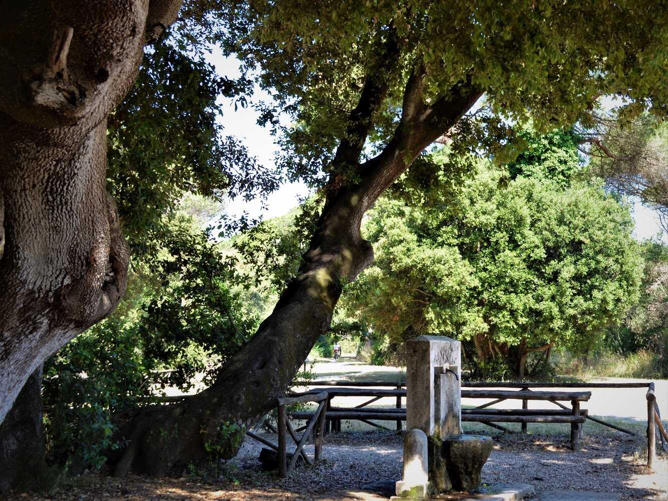 Obiettivo Ostia: il territorio visto con altri Occhi, Rebecca Rubeis